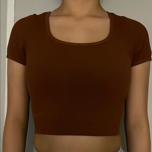 Wild fable brown Fitted Crop T-Shirt with Short Sleeves